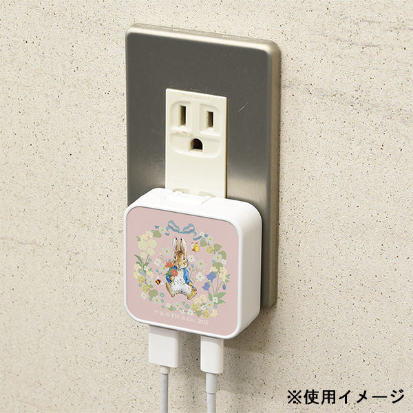 USB/USB Type-C ACアダプタ (ピンク)