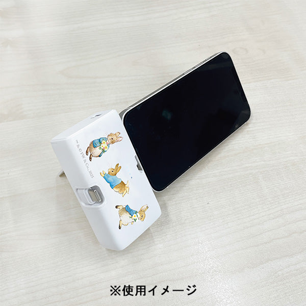 Lightning Type-C コネクタ付き リチウムイオン充電器 400mAh(みんな)