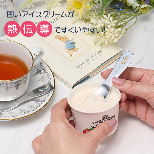 【WEBオリジナル】アイスクリームスプーン2個セット(Herb Garden)