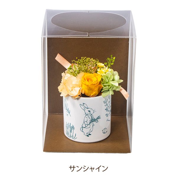 【WEB限定】プリザーブドフラワーminiカップ