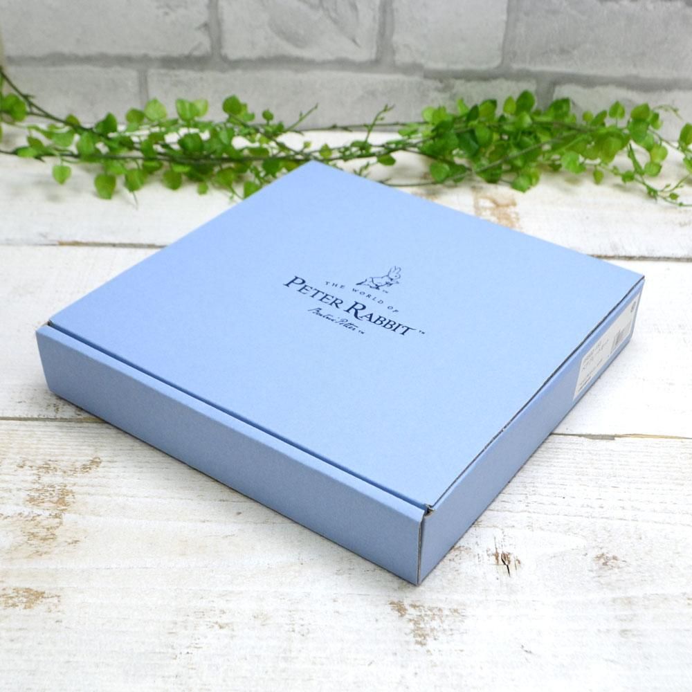 ペアパスタプレートセット (CORE)