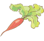 Custom Heading Image