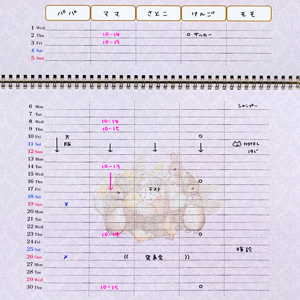 ファミリーカレンダーピーターラビット (2026年1月始まり)