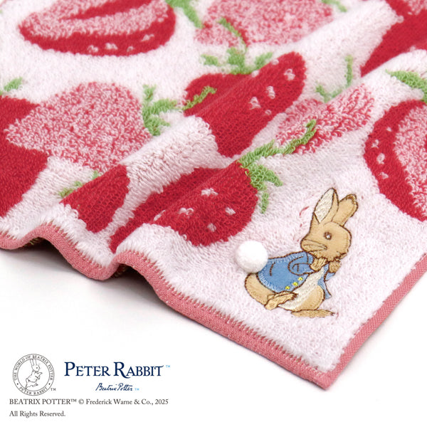 ぬいぐるみ L（ピーターラビット(TM)）