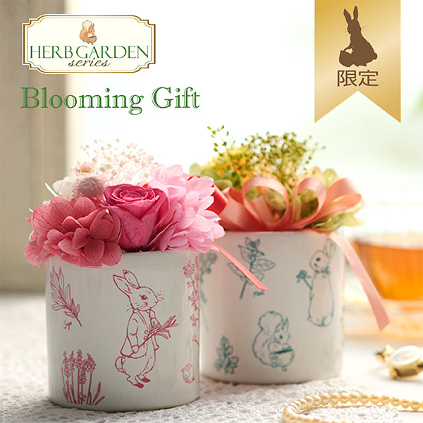 【WEB限定】プリザーブドフラワーminiカップ