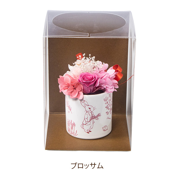 WEB限定】プリザーブドフラワーminiカップ