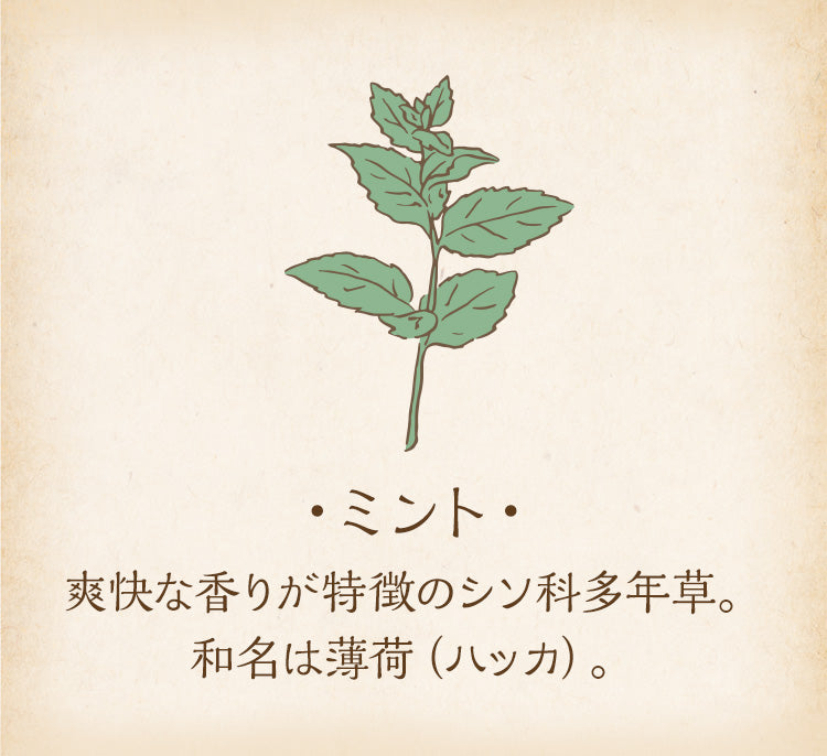 ミント（はっか）