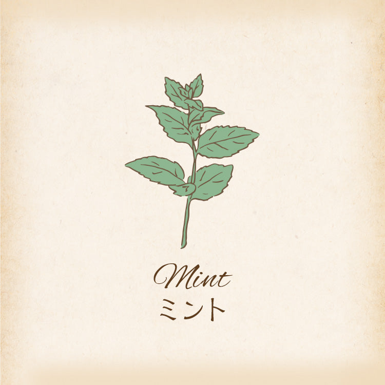 ミント