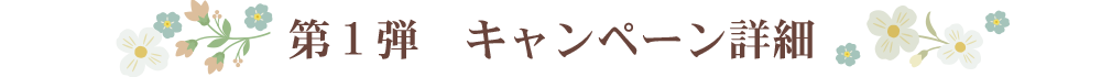 第１弾キャンペーン詳細