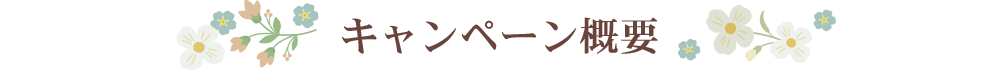 キャンペーン概要