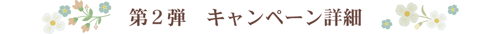 第2弾キャンペーン詳細